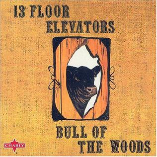 <i>Bull of the Woods</i> 1969 album by The 13th Floor Elevators