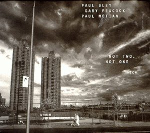 <i>Not Two, Not One</i> 1999 studio album by Paul Bley