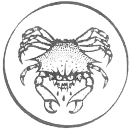 File:Witchland crab.png