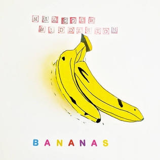 <i>Bananas</i> (Malcolm Middleton album) 2018 studio album by Malcolm Middleton