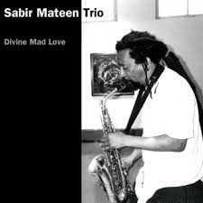 <i>Divine Mad Love</i> 1998 studio album by Sabir Mateen