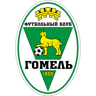 FC Gomel-logo.png