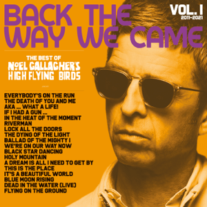 File:Noel Gallagher's High Flying Birds - Back the Way We Came Vol. 1.png