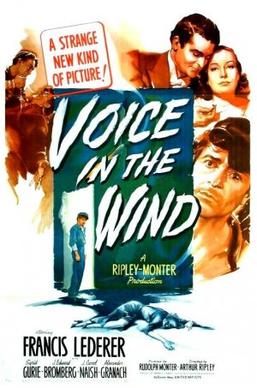 Voice_in_the_Wind_poster.jpg