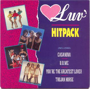 <span class="mw-page-title-main">Luv' Hitpack</span> 1989 single by Luv