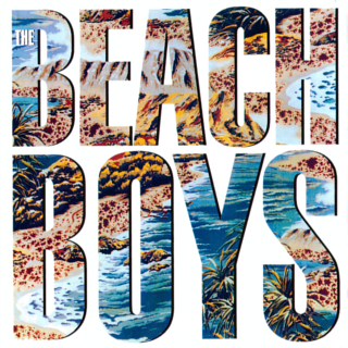 <i>The Beach Boys</i> (album) 1985 studio album by The Beach Boys