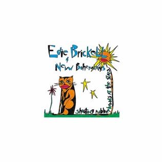 <i>Shooting Rubberbands at the Stars</i> 1988 studio album by Edie Brickell & New Bohemians