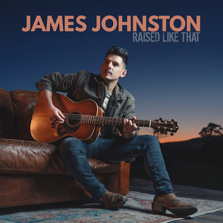 <i>Raised Like That</i> 2023 studio album by James Johnston