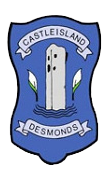 Castleisland Desmonds GAA