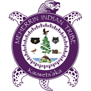 <span class="mw-page-title-main">Meherrin Indian Tribe</span> State-recognized tribe in North Carolina, United States