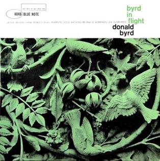 File:Byrd in Flight.jpg