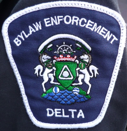 File:Deltapatch.JPG