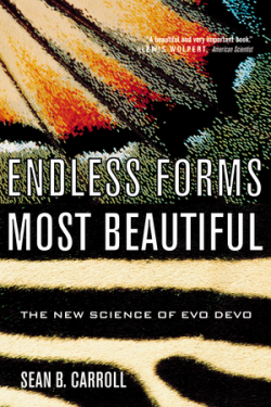 <i>Endless Forms Most Beautiful</i> (book) 2005 evo-devo book by Sean B. Carroll