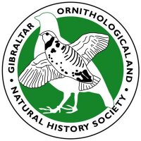 <span class="mw-page-title-main">Gibraltar Ornithological & Natural History Society</span>