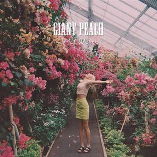 <span class="mw-page-title-main">Giant Peach</span> Song by alternative rock band Wolf Alice