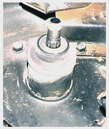 File:Mandrel 002.jpg