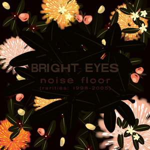 <i>Noise Floor (Rarities: 1998–2005)</i> 2006 compilation album by Bright Eyes