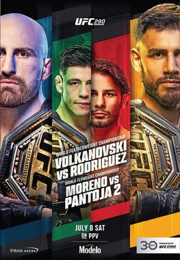 File:UFC 290 poster.jpg