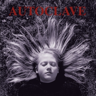 <i>Autoclave</i> (album) 1997 studio album by Autoclave