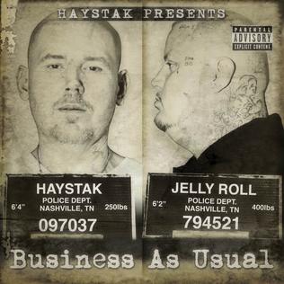 <i>Business as Usual</i> (Haystak & Jelly Roll album) 2013 studio album by Haystak & JellyRoll