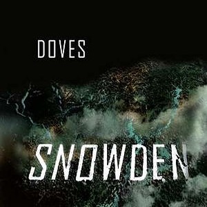 Snowden (song)