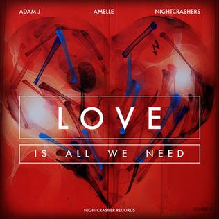 <span class="mw-page-title-main">Love (Is All We Need)</span> 2013 single by Adam J featuring Amelle Berrabah and The Nightcrashers