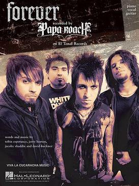 <span class="mw-page-title-main">Forever (Papa Roach song)</span> 2007 single by Papa Roach