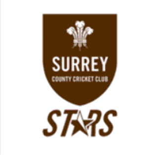 <span class="mw-page-title-main">Surrey Stars</span> Cricket team