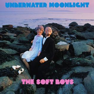 Underwater Moonlight is the second studio album by English rock band The Soft Boys, released on 28 June 1980 by record label Armageddon.