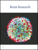 <i>Brain Research</i> Academic journal