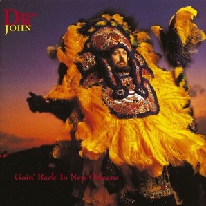 <i>Goin Back to New Orleans</i> 1992 studio album by Dr. John