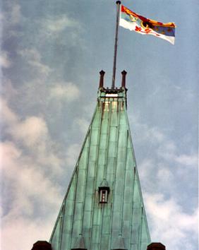 http://upload.wikimedia.org/wikipedia/en/9/9e/EIIR-flag-parl.jpg