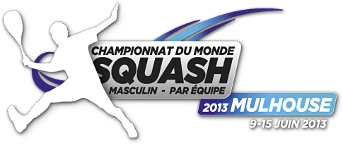 File:Logo World Team Squash 2013.png