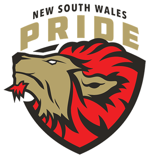 NSW Pride is an Australian field hockey club based in Sydney. The club was established in 2019, and is one of 7 established to compete in Hockey Australia's new premier domestic competition, Hockey One.