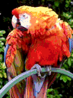 File:RGB 24bits palette sample image 9bpp MD.png