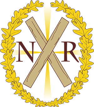 <span class="mw-page-title-main">Romanian Nationhood Party</span> Romanian nationalist political party