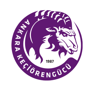 File:Ankara Keçiörengücü S.K. logo.png