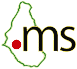 Dot-MS domain logo.png