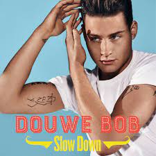 <span class="mw-page-title-main">Slow Down (Douwe Bob song)</span> 2016 song by Douwe Bob