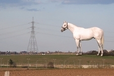 <span class="mw-page-title-main">White Horse at Ebbsfleet</span> Former planned colossal statue in Kent, England