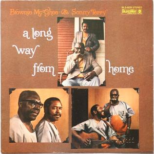 <i>A Long Way from Home</i> 1969 studio album by Brownie McGhee and Sonny Terry