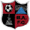 Значок клуба Banbridge AFC.jpg