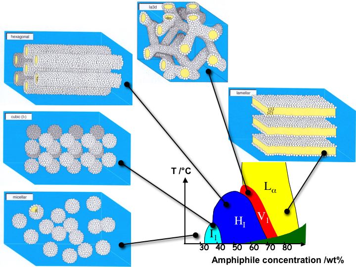 Lyotropic1.jpg