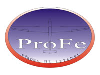 ProFe logosu 2011.jpg