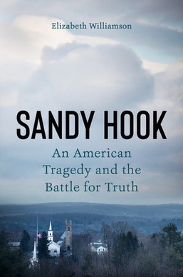 <i>Sandy Hook: An American Tragedy</i> Nonfiction book by Elizabeth Williamson