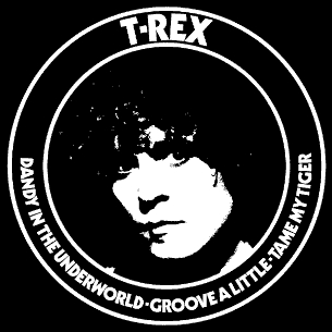 <span class="mw-page-title-main">Dandy in the Underworld (song)</span> 1977 song by T. Rex