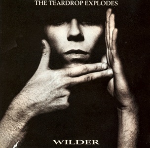 <i>Wilder</i> (album) 1981 studio album by The Teardrop Explodes