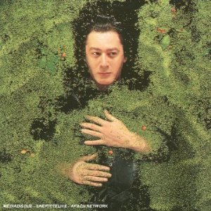 <i>Fantaisie militaire</i> 1998 studio album by Alain Bashung