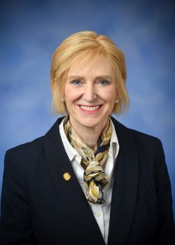 <span class="mw-page-title-main">Andrea Schroeder</span> American politician (1964–2021)