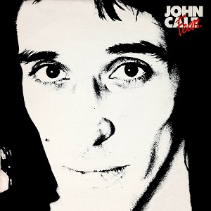 <i>Fear</i> (John Cale album) 1974 studio album by John Cale